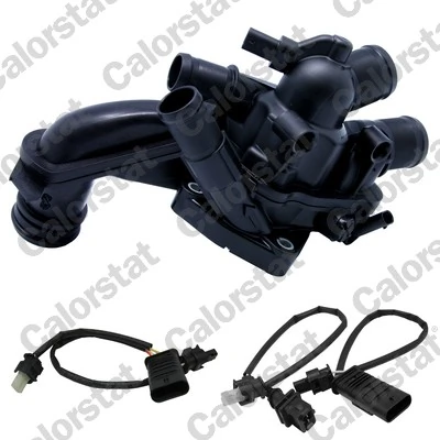 Thermostat, coolant